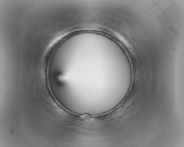 X0000115451456200911251257