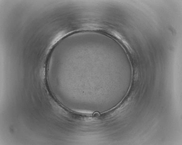 X0000115451459200911251257