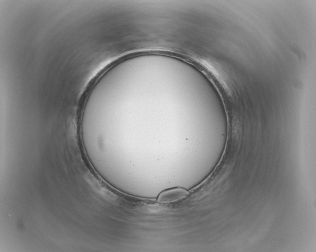 X0000115451460200911251257