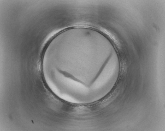 X0000115451462200911251257