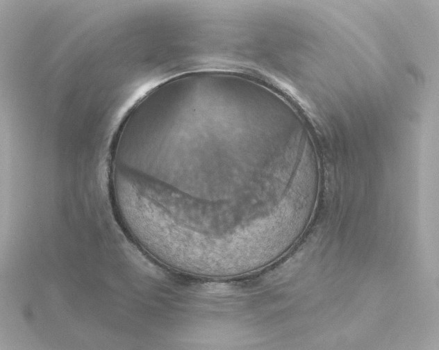 X0000115451463200911251257