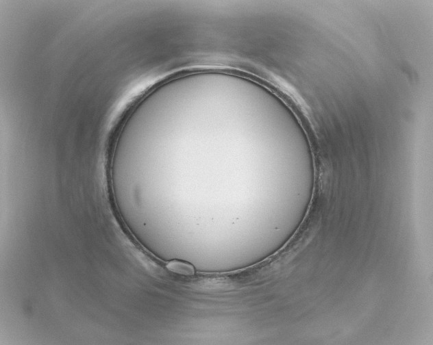 X0000115451464200911251257