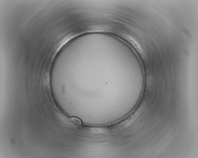 X0000115451465200911251257