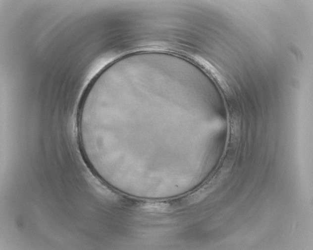 X0000115451466200911251257