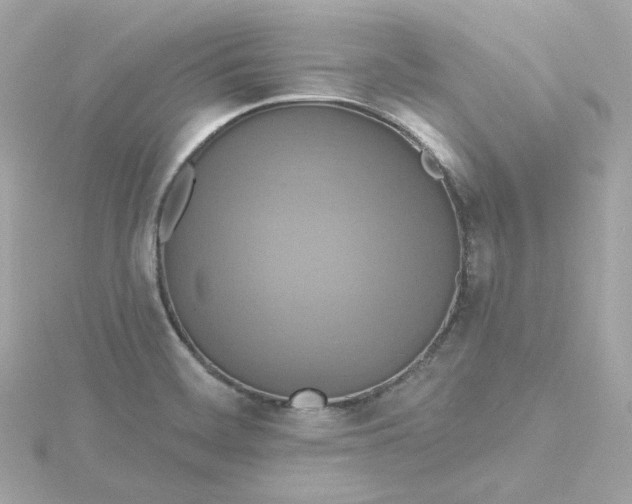 X0000115451468200911251257