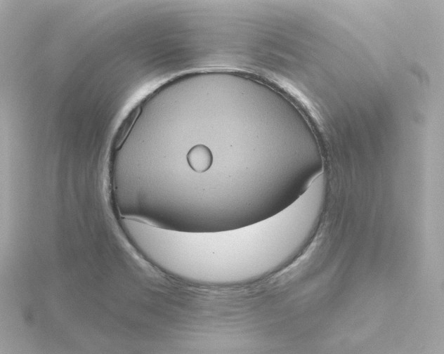 X0000115451469200911251257