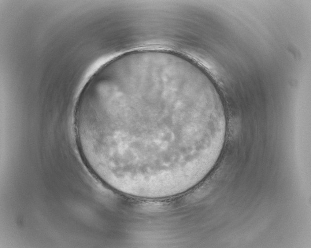 X0000115451470200911251257