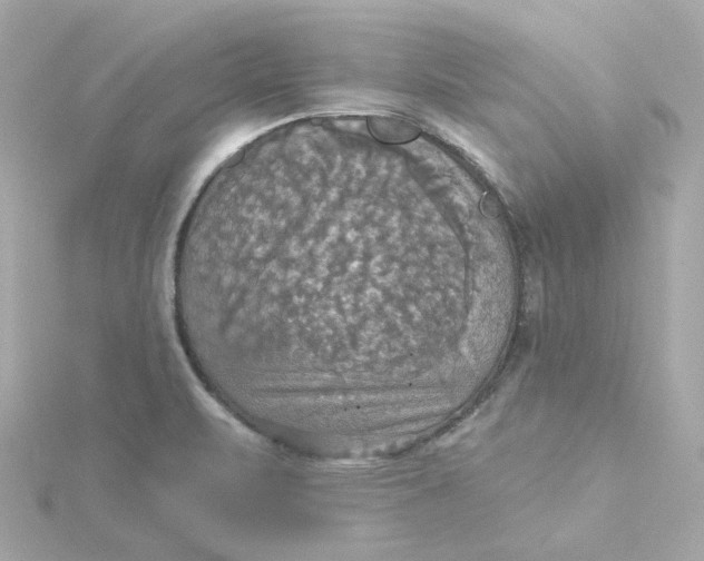 X0000115451471200911251257