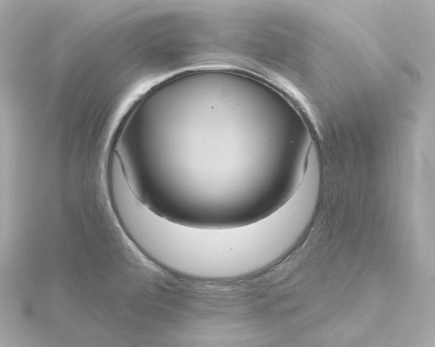 X0000115451472200911251257