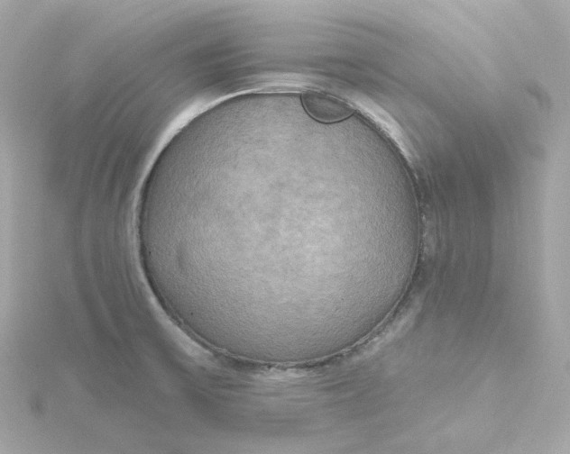 X0000115451475200911251257