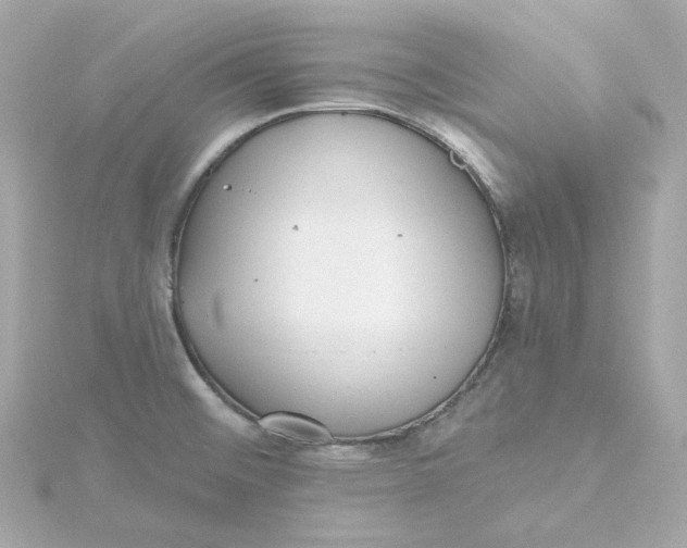 X0000115451476200911251257