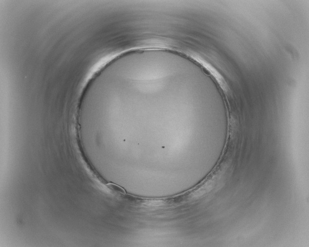 X0000115451477200911251257