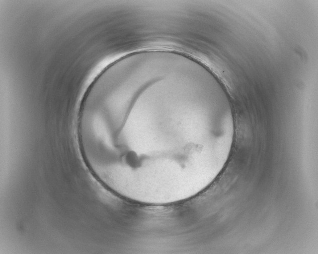 X0000115451478200911251257