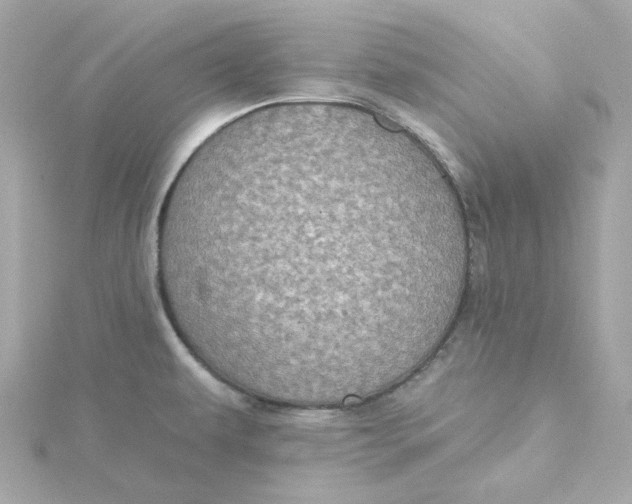 X0000115451479200911251257