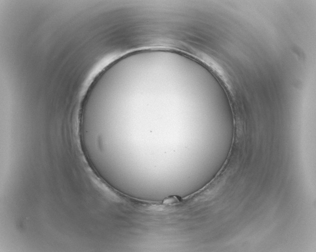 X0000115451480200911251257