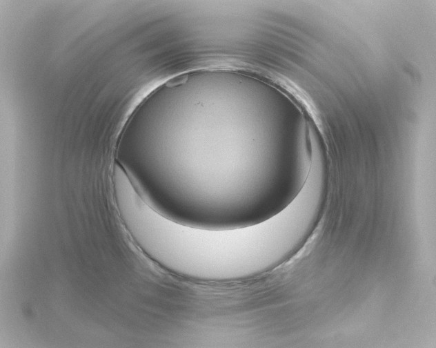 X0000115451481200911251257