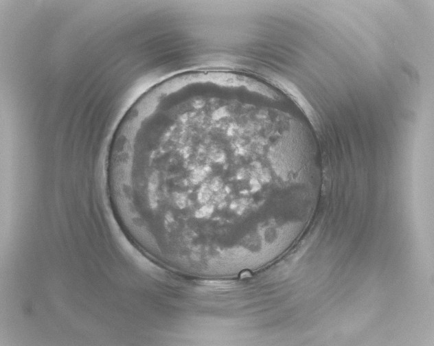 X0000115451483200911251256