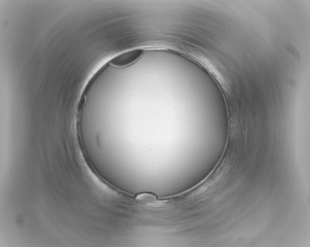 X0000115451484200911251256