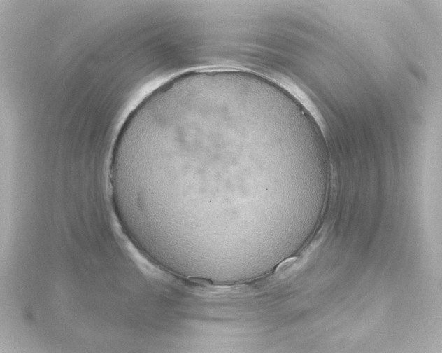 X0000115451485200911251256