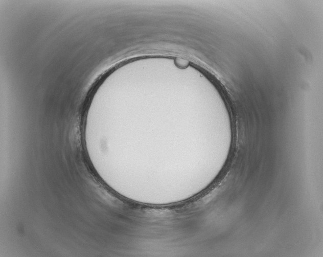 X0000115451498200911251256