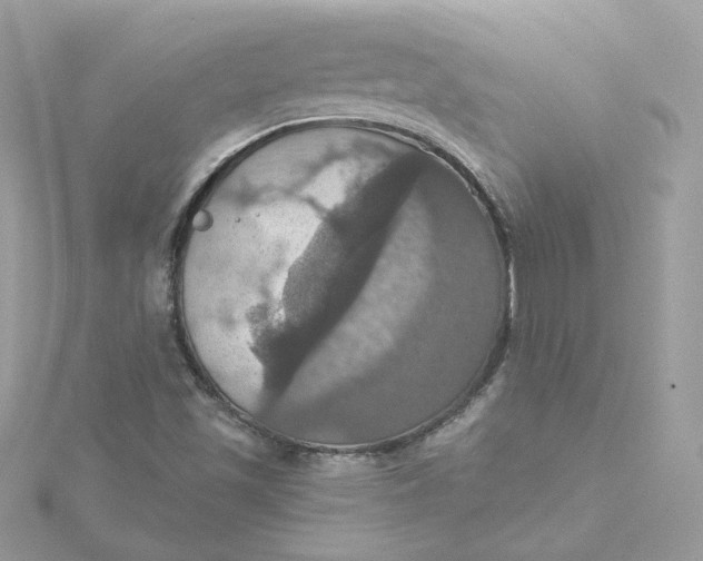 X0000115451501200911251256