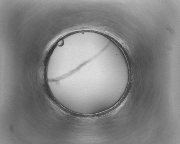 X0000115451502200911251256