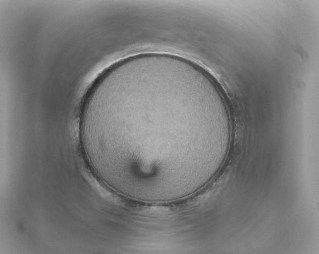 X0000115451503200911251256