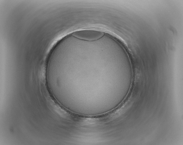 X0000115451506200911251256