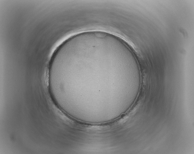 X0000115451510200911251256