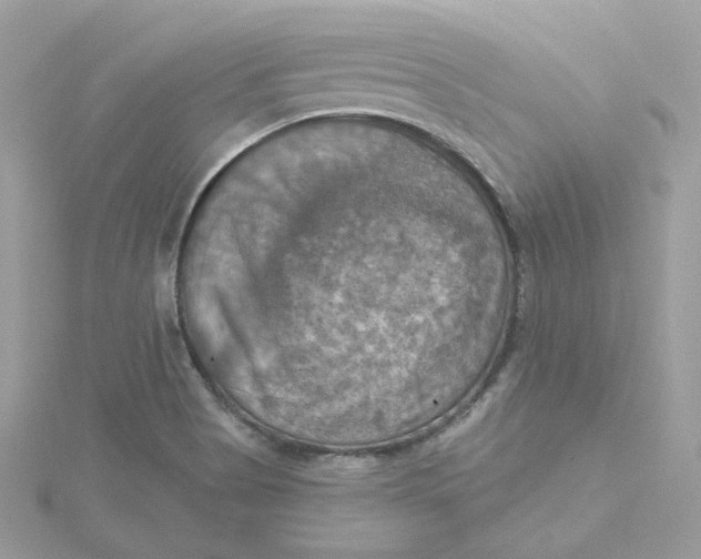 X0000115451513200911251256