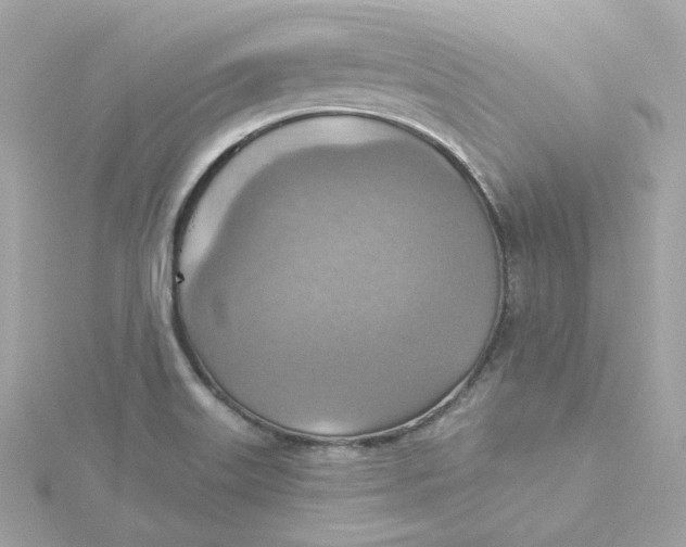 X0000115451515200911251256