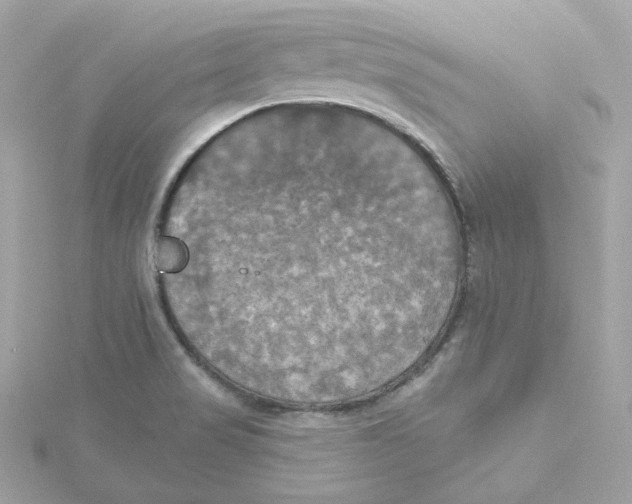 X0000115451517200911251256