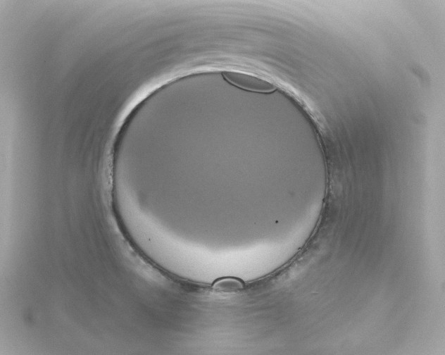 X0000115451522200911251256