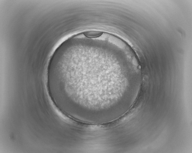 X0000115451523200911251256