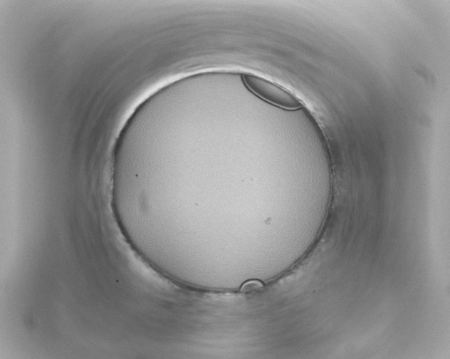 X0000115451526200911251256