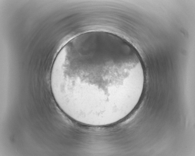 X0000115451529200911251256