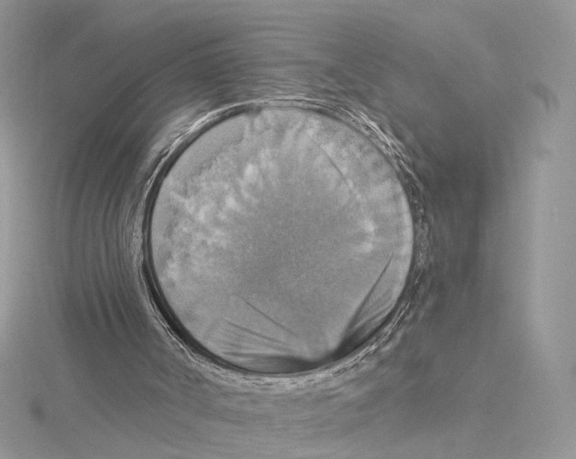 X0000115450002200912021016