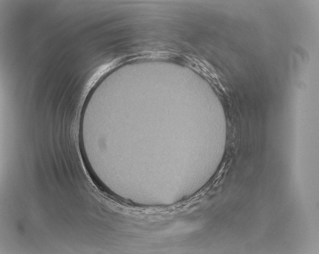 X0000115450003200912021016