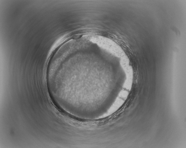 X0000115450004200912021016