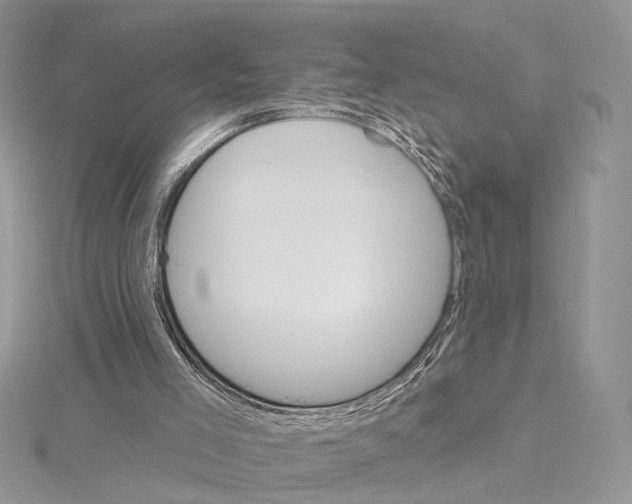 X0000115450005200912021016