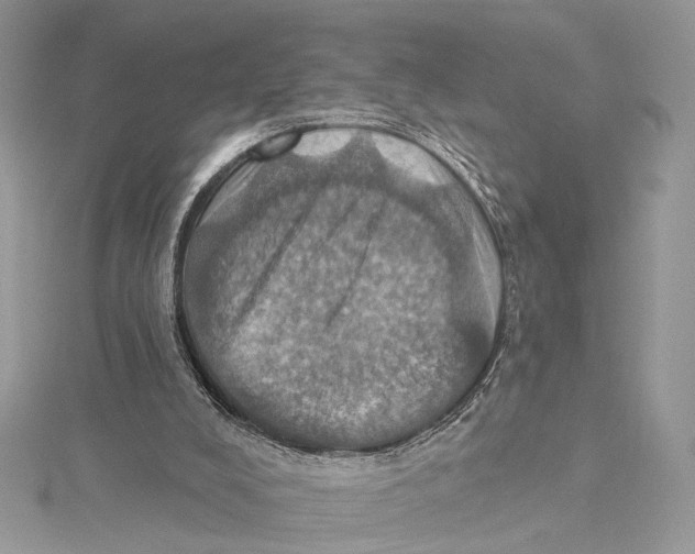 X0000115450008200912021015