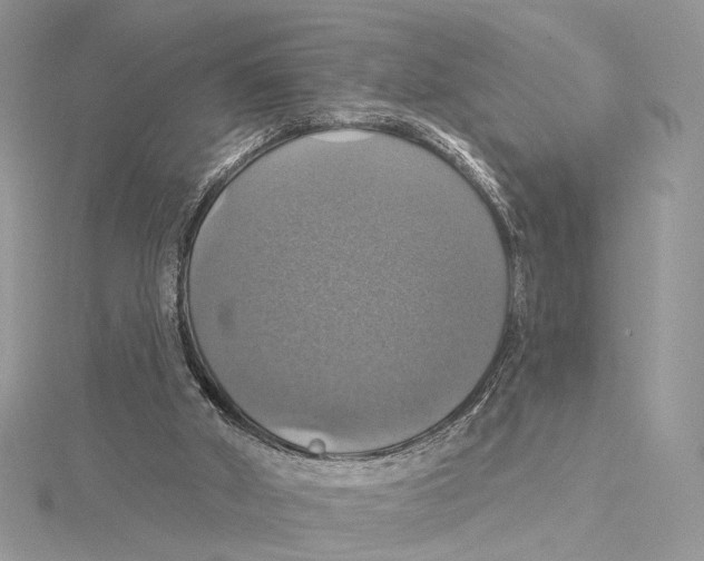 X0000115450010200912021015