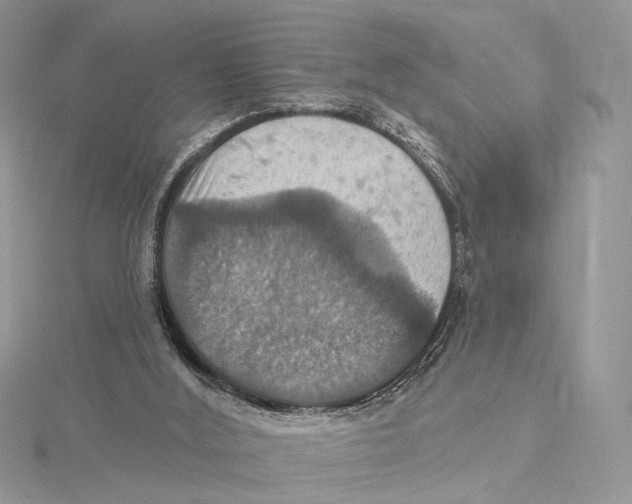 X0000115450012200912021015