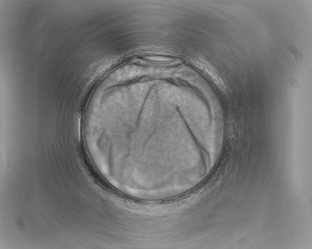 X0000115450014200912021015