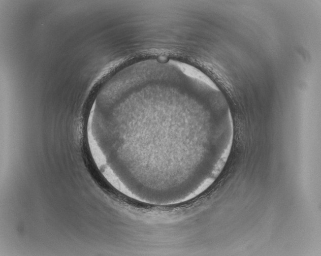 X0000115450016200912021015