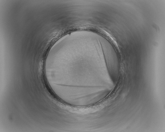 X0000115450018200912021015