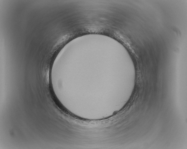 X0000115450019200912021015