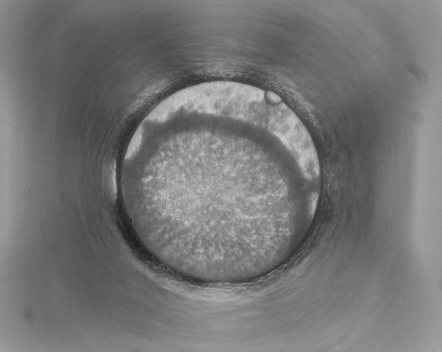 X0000115450020200912021015