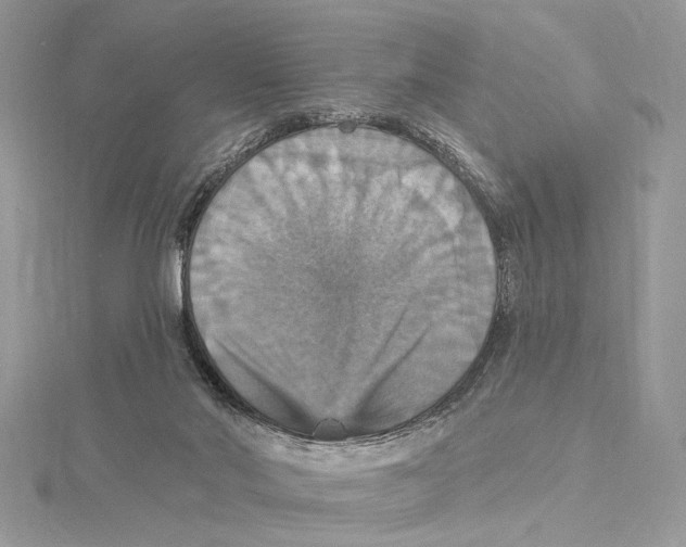 X0000115450022200912021015