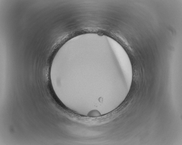 X0000115450023200912021015